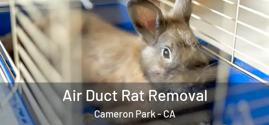  Air Duct Rat Removal Cameron Park - CA
