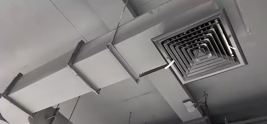 Restorative Allergy Relief Vent Cleaning – Coil, Blower & Housing Detail in Cameron Park