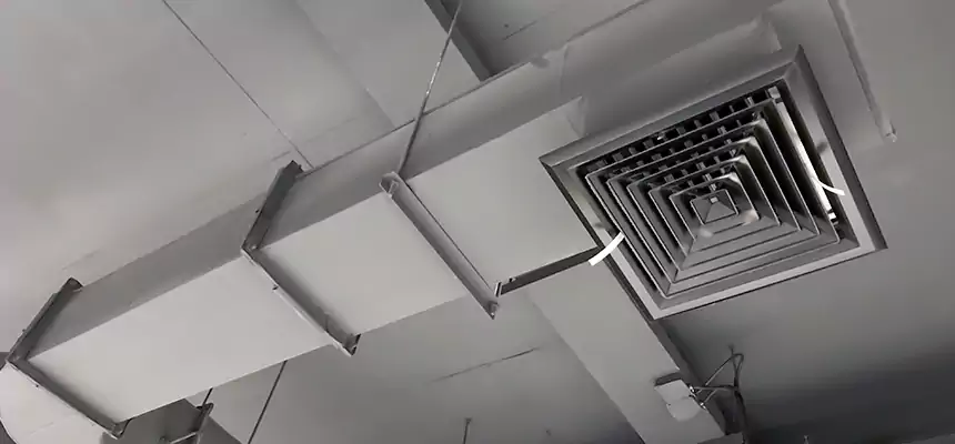 Our Pest Removal From Ducts Services in Cameron Park, CA