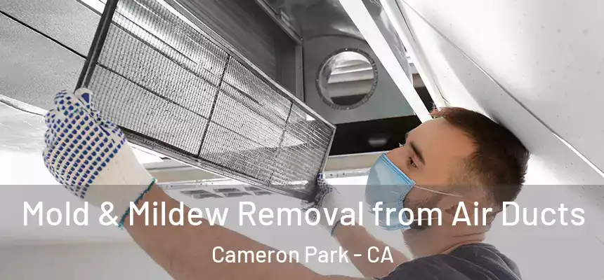 Mold & Mildew Removal from Air Ducts Cameron Park - CA