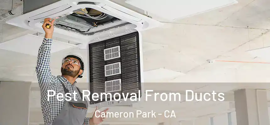 Pest Removal From Ducts Cameron Park - CA