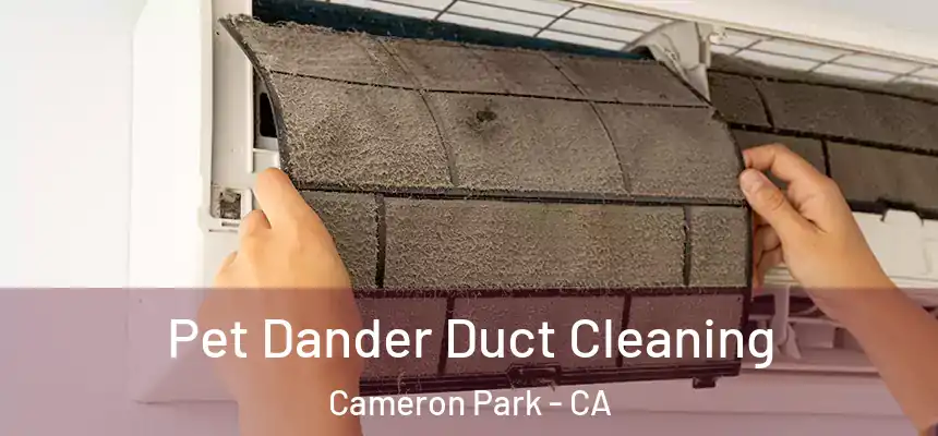  Pet Dander Duct Cleaning Cameron Park - CA