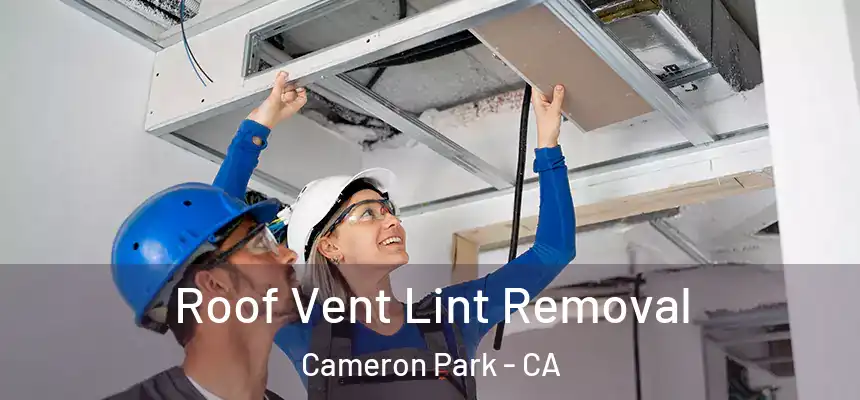 Roof Vent Lint Removal Cameron Park - CA