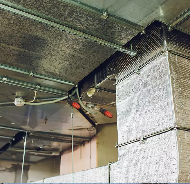 Why Homeowners & Businesses Trust Us in Cameron Park, CA?