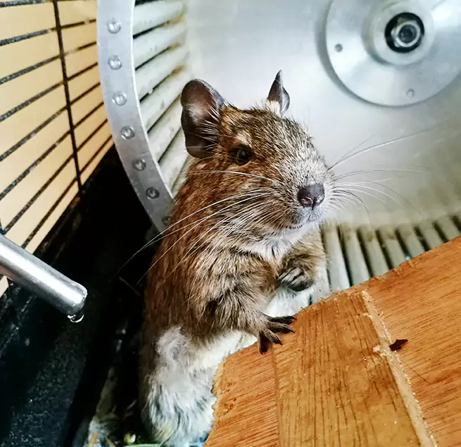 Why Homeowners & Businesses Trust Us Cameron Park, CA?