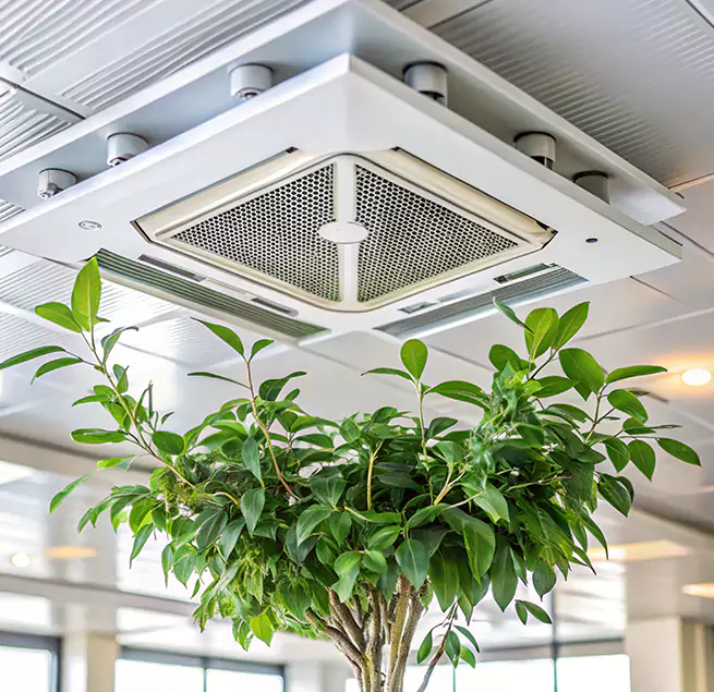 Why Homeowners & Businesses Trust Us in Cameron Park, CA